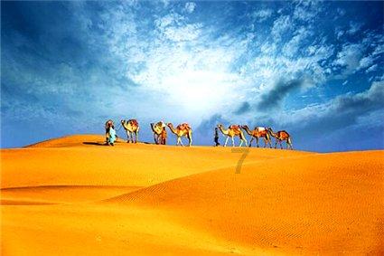 12星座时尚装