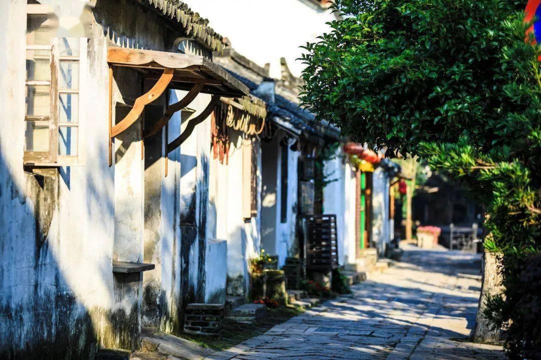 逗小猴开心系列186