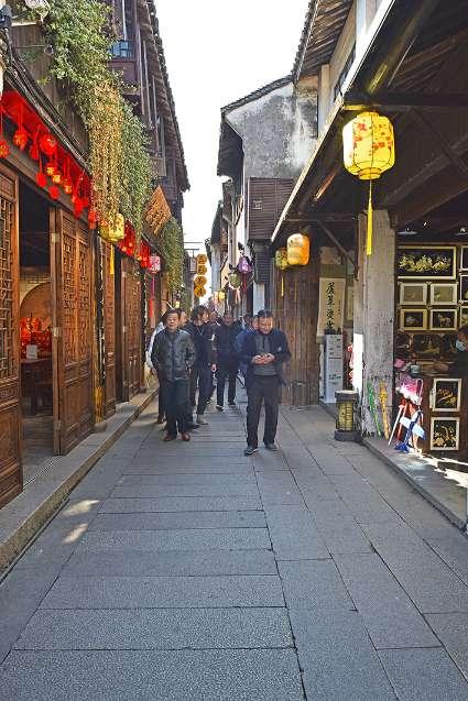 白孔雀救援