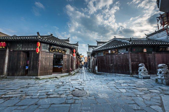 这回不是别人家的飞机！乘坐海南航空真的可以带狗了！